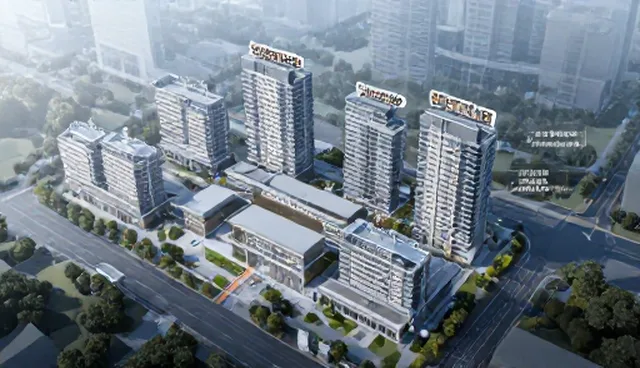 地区技术外包业务的适用条件与选择依据